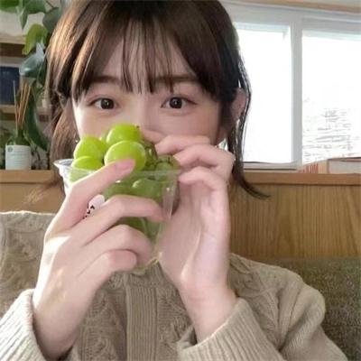 神烦警探第六季