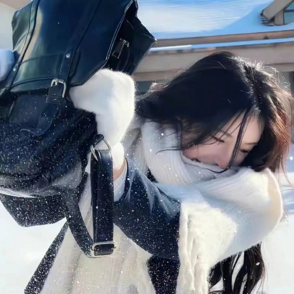 包法利夫人